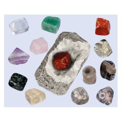 Detalės DIG lt! MINERALS & FOSSILS 5+