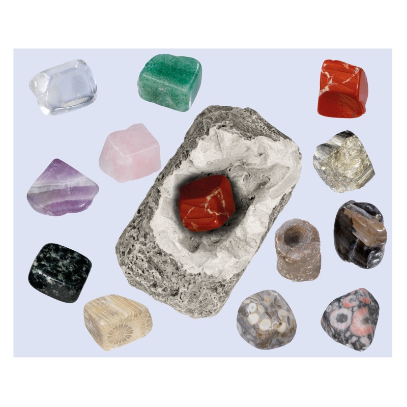 Detalės DIG lt! MINERALS & FOSSILS 5+