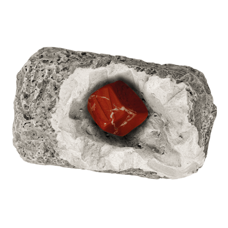 Detalės DIG lt! MINERALS & FOSSILS 5+