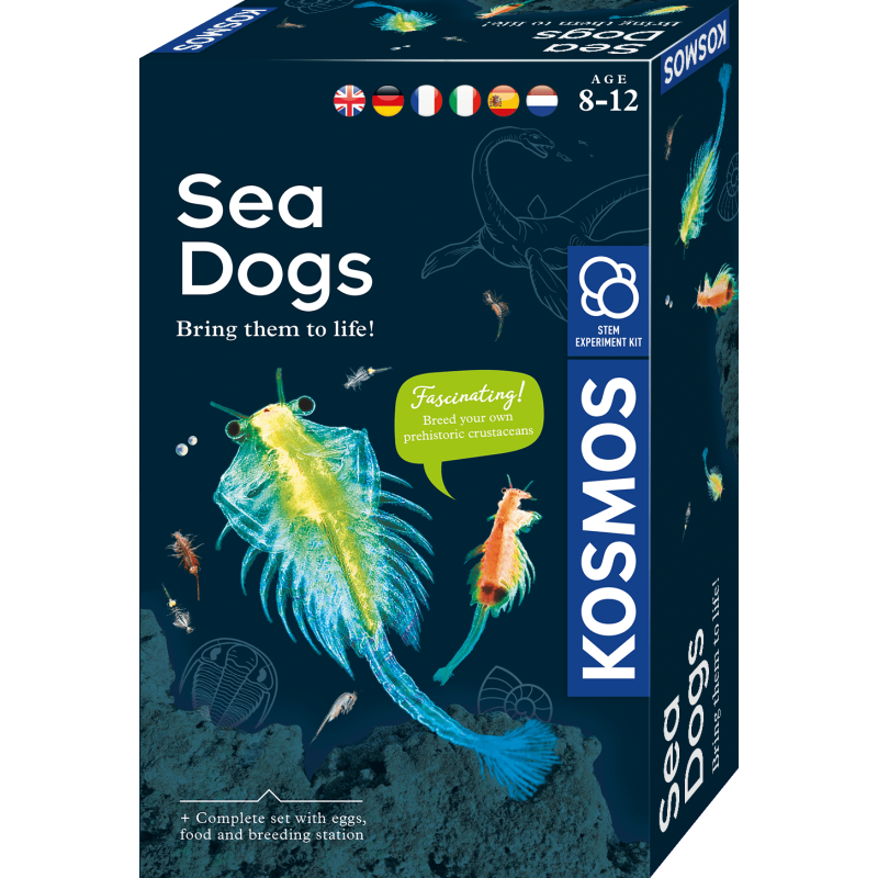 Lavinamasis rinkinys SEA DOGS 8-12 LT, LV, EE