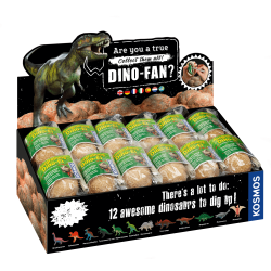 Detalės DIG lt! DINOS-Ei 5+