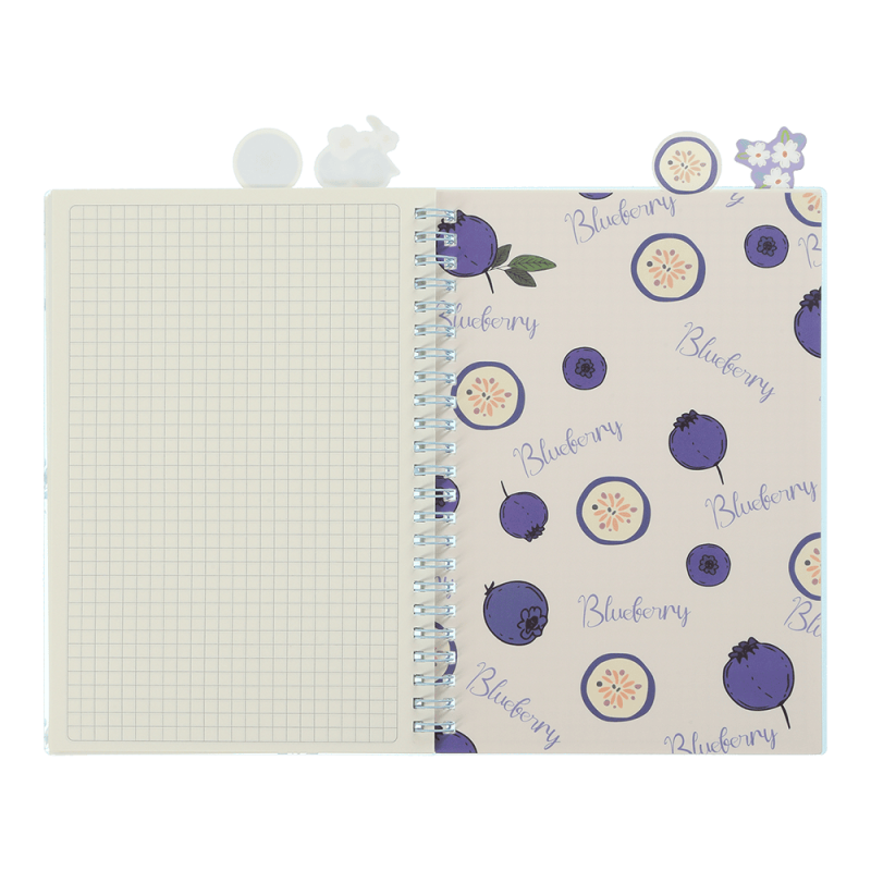 Sąsiuvinis su spirale, plast.viršeliu ir 4 skirtukais ARABESKI  A5 80lap., lang.melsvas