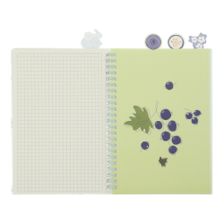 Sąsiuvinis su spirale, plast.viršeliu ir 4 skirtukais ARABESKI  A5 80lap., lang.melsvas