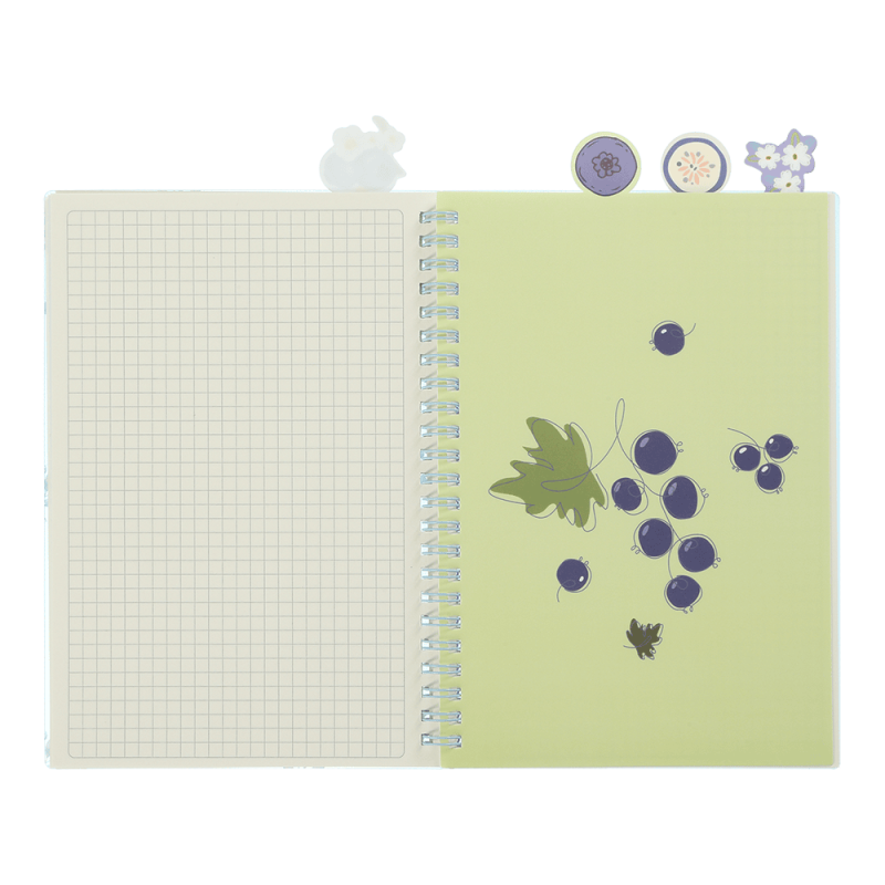 Sąsiuvinis su spirale, plastikiniu viršeliu ir 4 skirtukais ARABESKI  A5 80lap., lang.melsvas