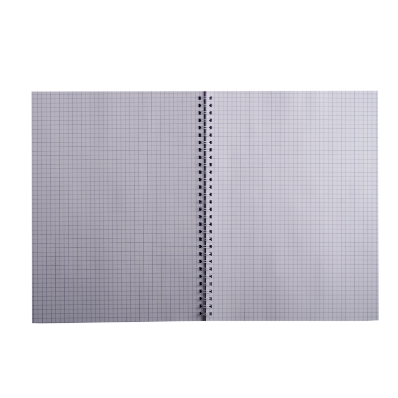 Sąsiuvinis su spirale, plastikiniu viršeliu FAVORITE A4 80lap., lang., rausvas