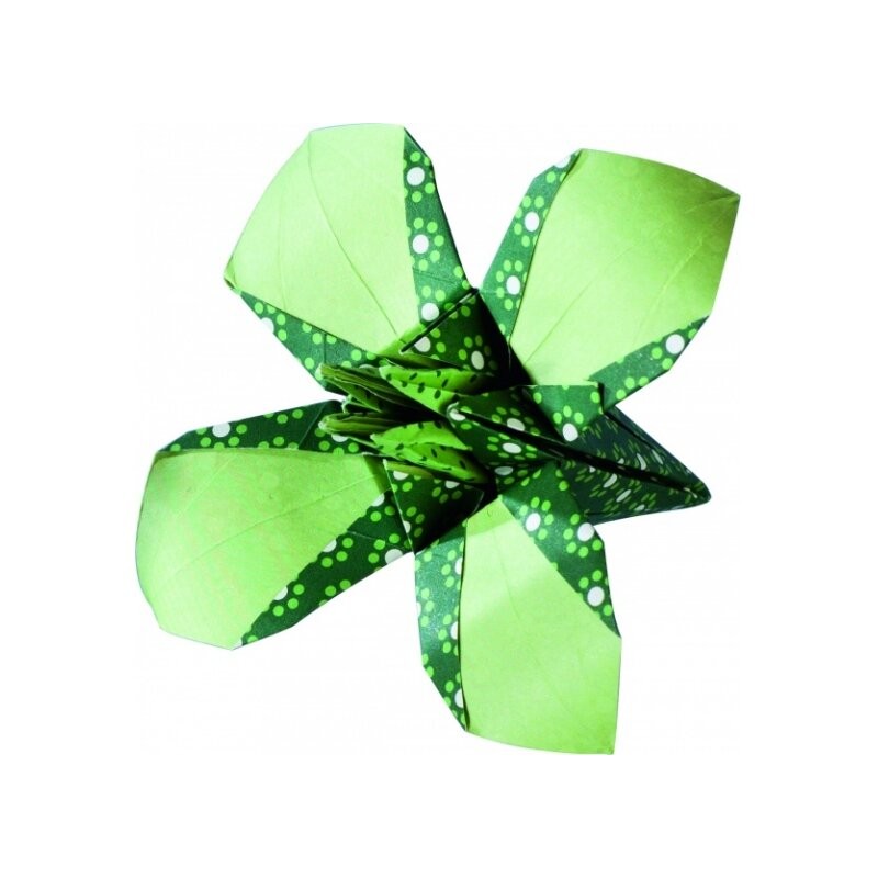 Origami 15x15/50l Folia 5 žali motyvai