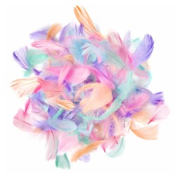 Plunksnos 4-8cm 10g, mix sp.