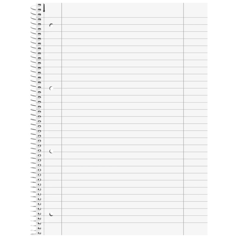 Sąsiuvinis su spirale A4 Lin27