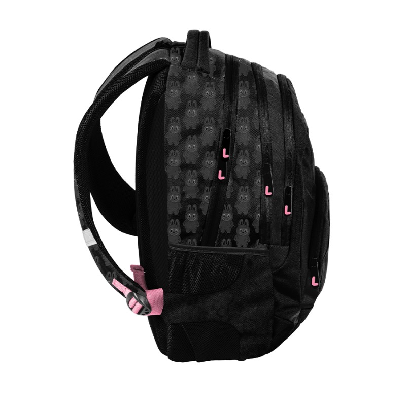 Mokyklinė kuprinė PASO BUBU PP26LB-278